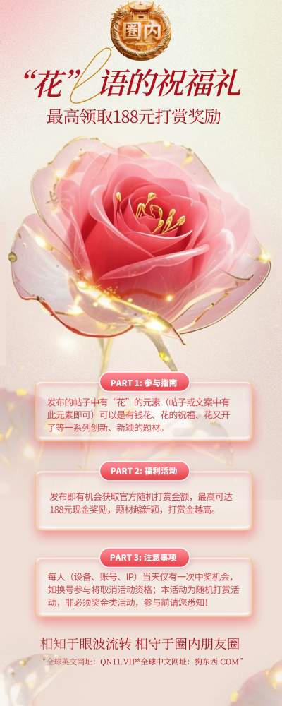 活动详情